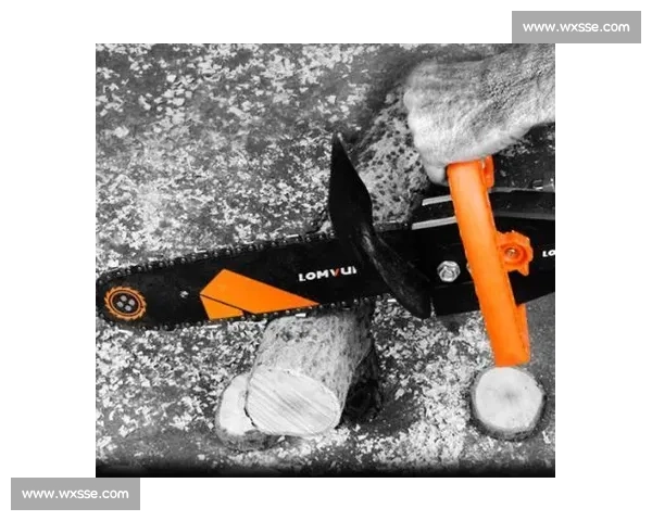 国外高效伐木：技术如何做到省时省力？